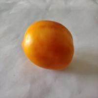 tomato_segmentation project thumbnail