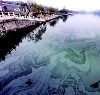 water-pollution-all-250102 project thumbnail
