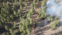 Smoke Detection project thumbnail