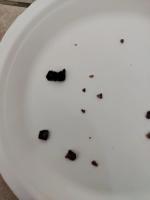 dried tofu project thumbnail