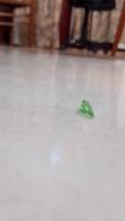 Broken Glass project thumbnail