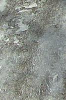 snow-road-detection_2 project thumbnail