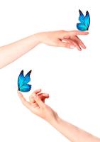 insect project thumbnail
