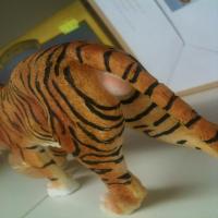 TigerDetection project thumbnail