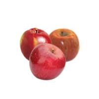 AppleDetection project thumbnail