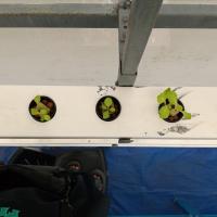 Lettuce monitor project thumbnail