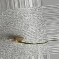Rice Seed Germination project thumbnail