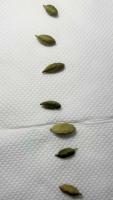 coin-cardamom project thumbnail