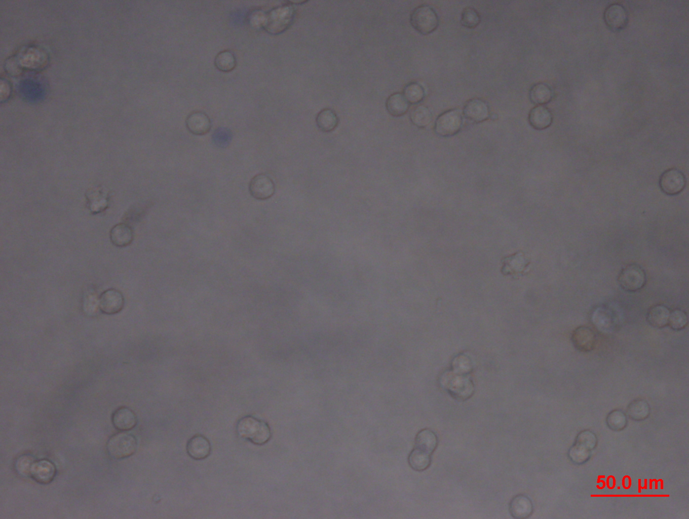 MEMS IN SPACE visual data 6