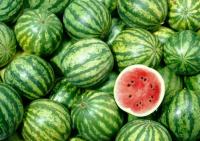 Fruit & Vegetable project thumbnail