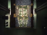 123321 project thumbnail