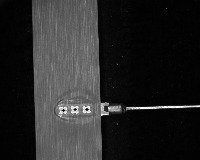 data_71_ng_1 project thumbnail