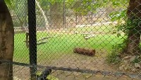 Park  project thumbnail
