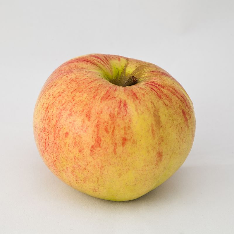 Apple Model Check apple Object Detection Model (v1, 2025-09-19 5:43pm) by Frost46
