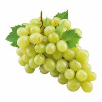Grape project thumbnail