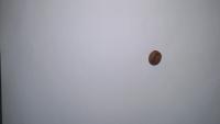 coffee bean project thumbnail