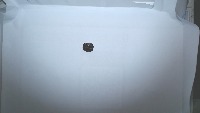 coffee_Roast-perfect-detive project thumbnail