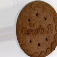 circle_biscuit project thumbnail