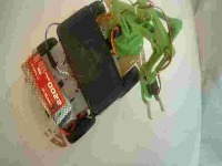 Dataset Image