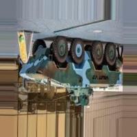 Dataset Image