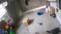 detect project thumbnail