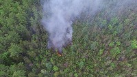 Forest Fire project thumbnail