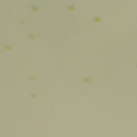 CR detection3.0 project thumbnail