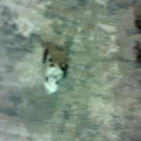a25_obyect project thumbnail