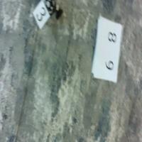 numbers project thumbnail