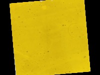 Trips Detection project thumbnail