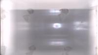 oyster_detection project thumbnail