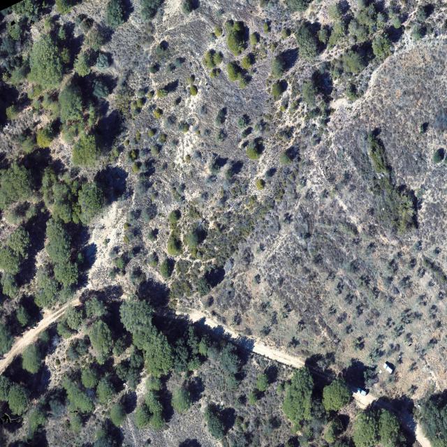 FindTree Object Detection Model by Marmara