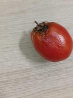 Tomato Quality project thumbnail
