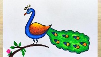 annotation_check_peacock project thumbnail