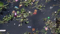 River Trash project thumbnail