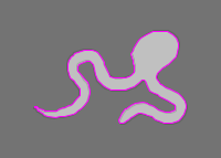 snake classification Object Detection Dataset and Pre-Trained Model by ...