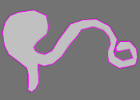 snake classification Object Detection Dataset and Pre-Trained Model by ...