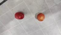 Tomato classification project thumbnail
