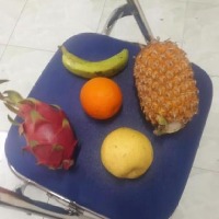 Dataset Image
