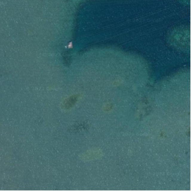 Longlines_accurate Instance Segmentation Dataset by Plymouth Marine ...