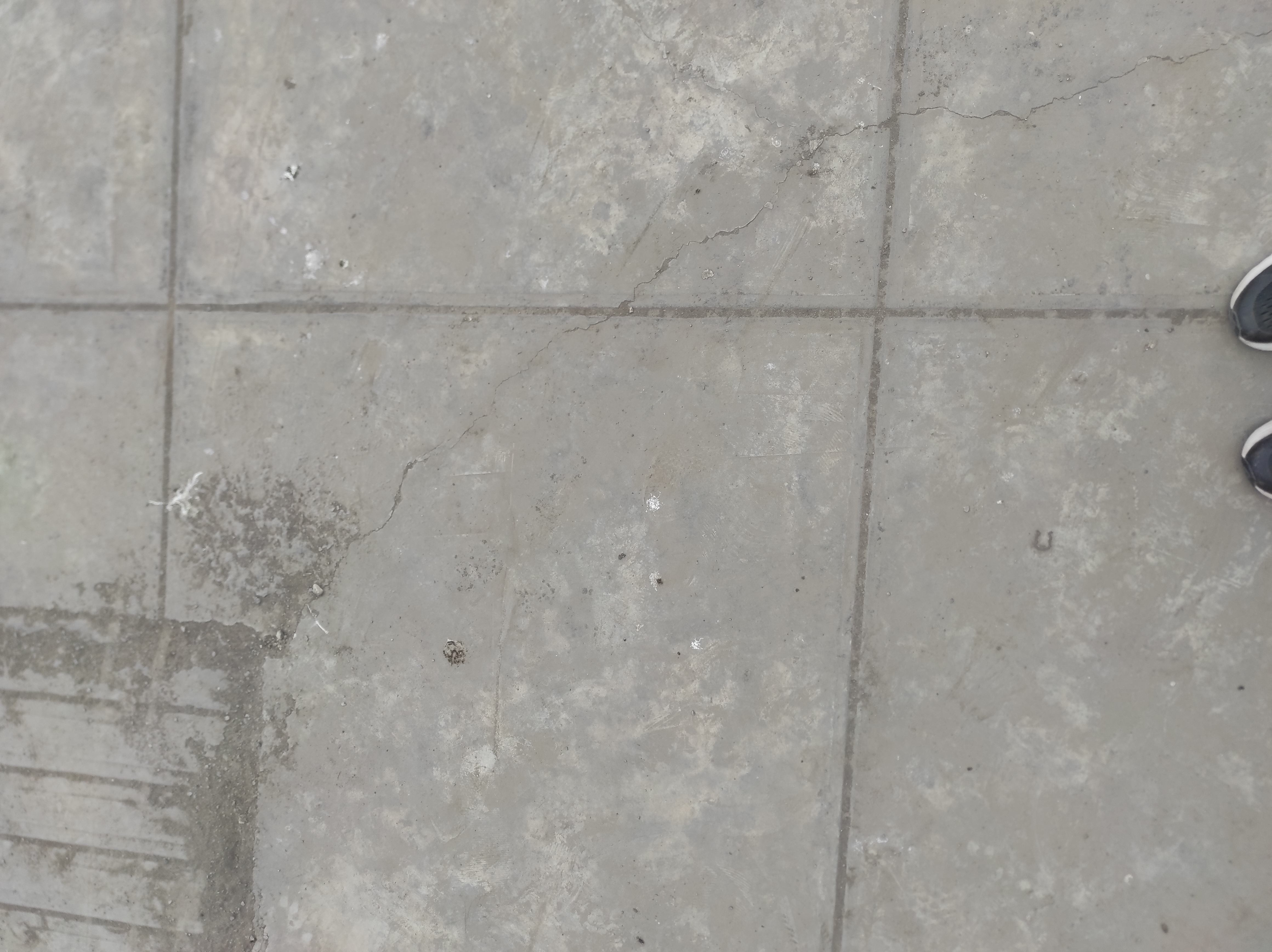 My First Project 7 Object Detection Dataset by detectorfallaspavimento
