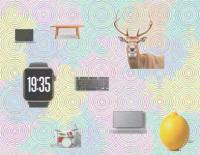 Dataset Image