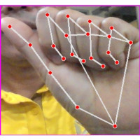 hand_sign_lang project thumbnail