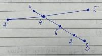 Graph_verticies project thumbnail