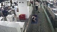 Dataset Image