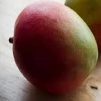 Mango_Disease_Detection project thumbnail