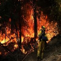 fire detection project thumbnail