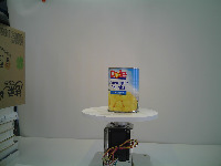 Dataset Image