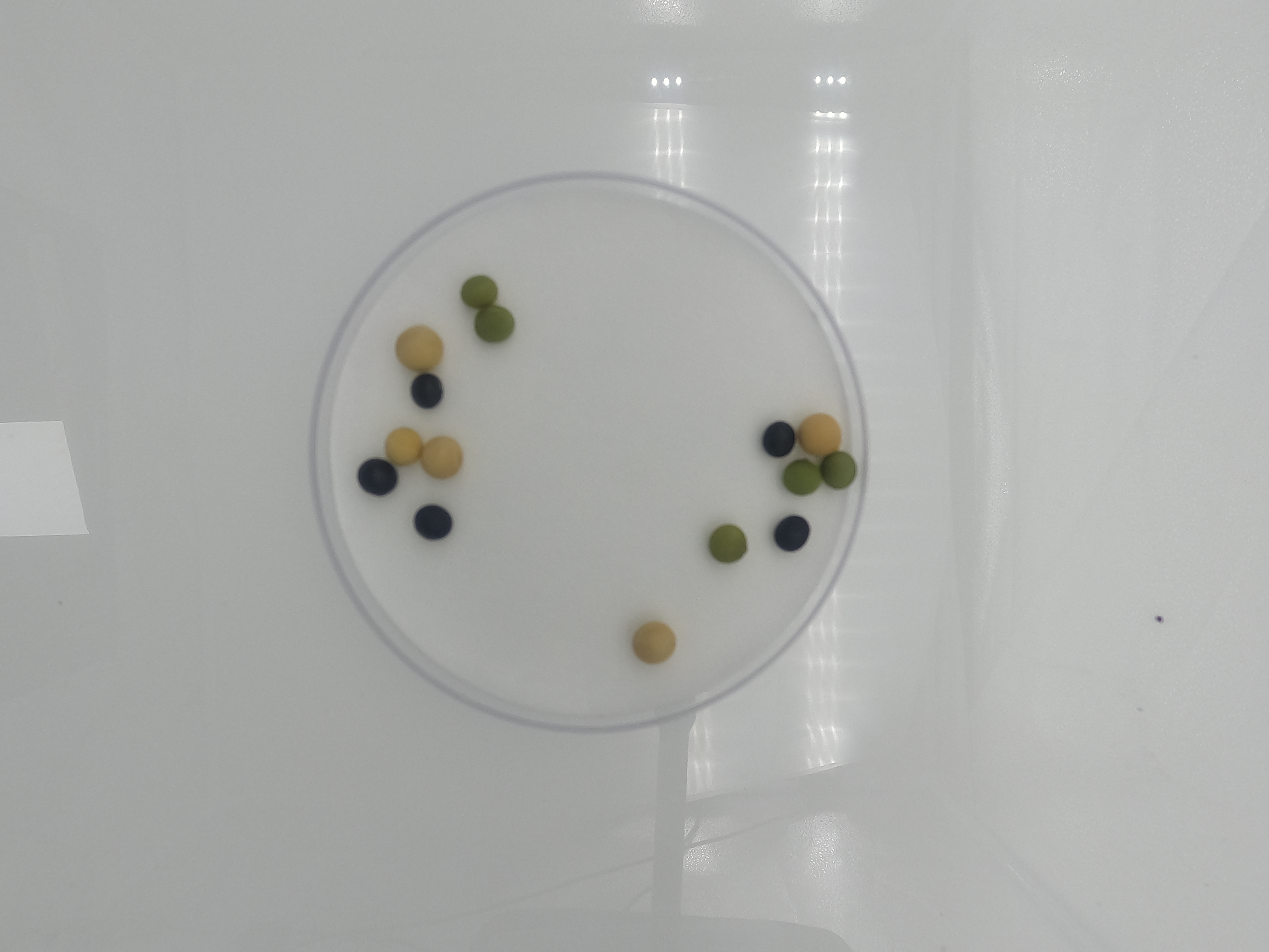Color Code Seed Seed Color Object Detection Dataset by project-ak7yj