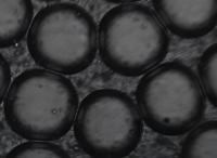 cell project thumbnail